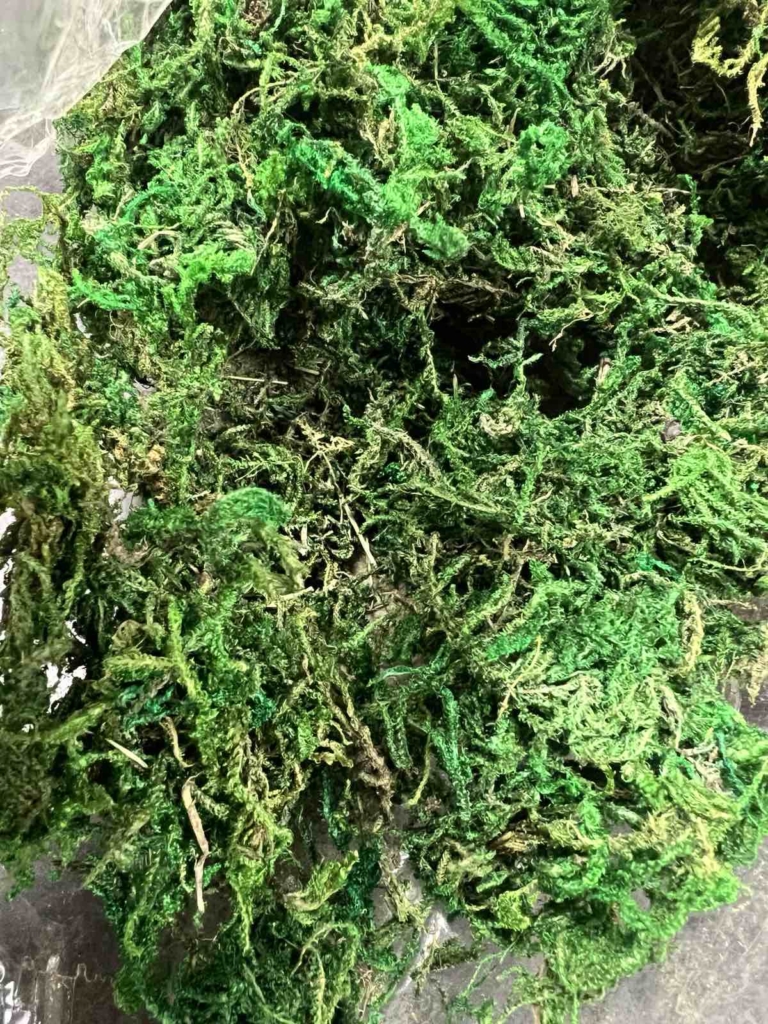 Синтетичен мъх за различни арт проекти Некатегоризирани Art, Home & Decor Синтетичен мъх за различни арт проекти Некатегоризирани Art, Home & Decor