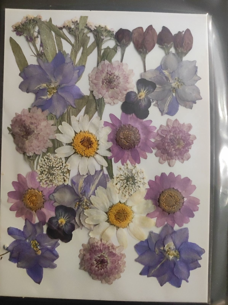 Естествени сухи цветя -Арт. № 2511280 Естествени материали Art, Home & Decor