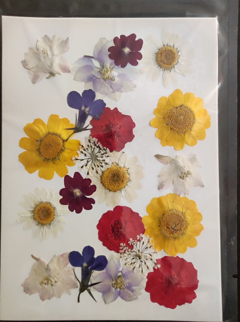 Естествени сухи цветя -Арт. № 2511281 Естествени материали Art, Home & Decor