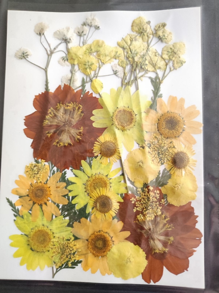 Естествени сухи цветя -Арт. № 2511282 Естествени материали Art, Home & Decor