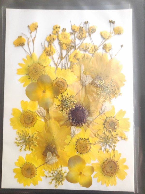 Естествени сухи цветя -Арт. № 2511283 Естествени материали Art, Home & Decor Естествени сухи цветя -Арт. № 2511283 Естествени материали Art, Home & Decor